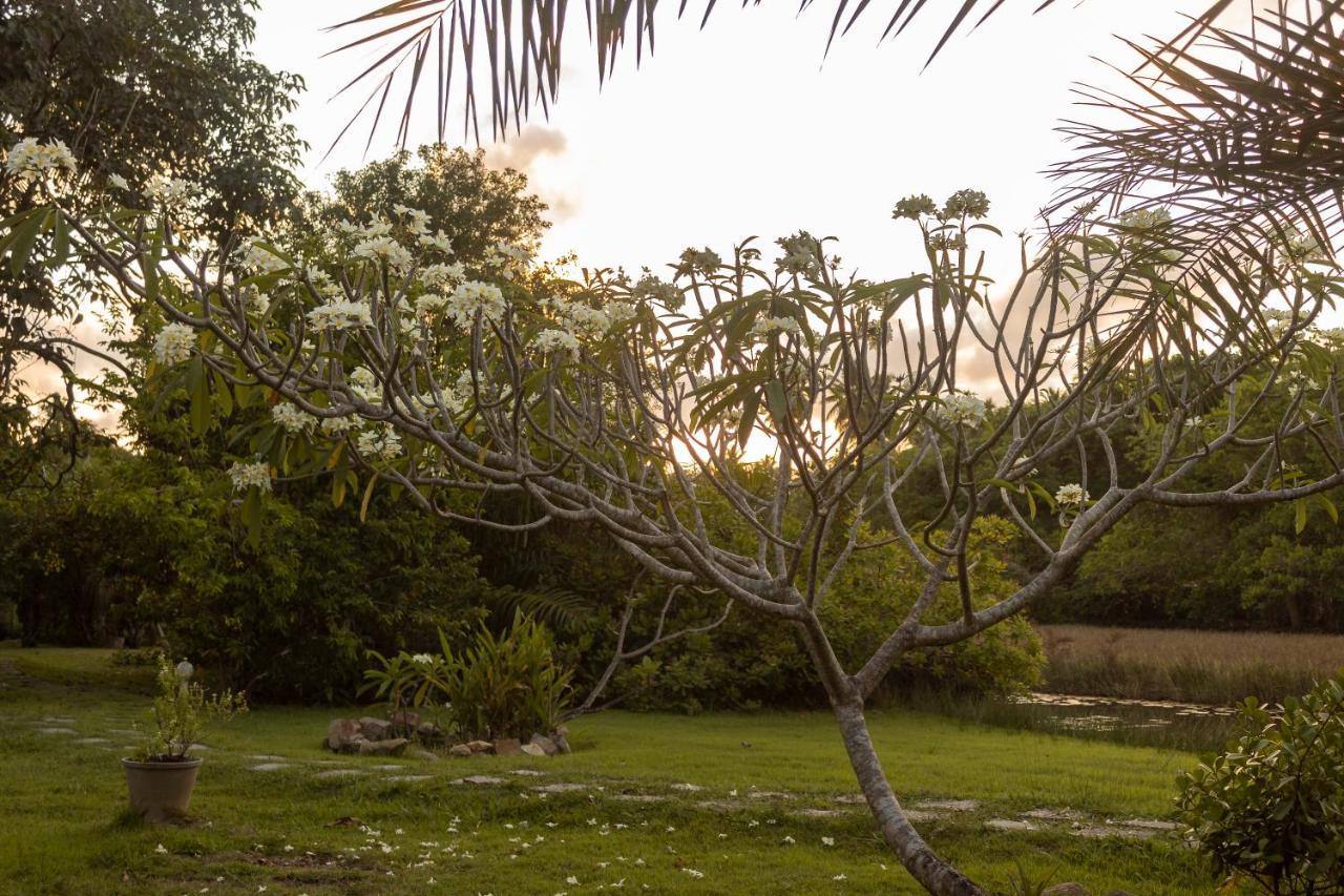 Pousada Lagoa Da Pedra Imbassaí Exterior foto